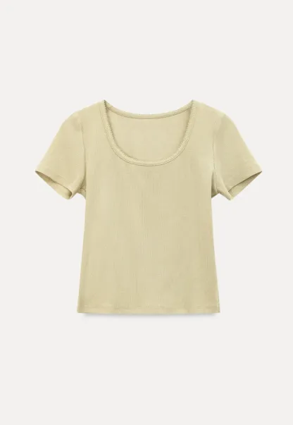 Lace Trim Layered Hem Short Sleeve T Shirt