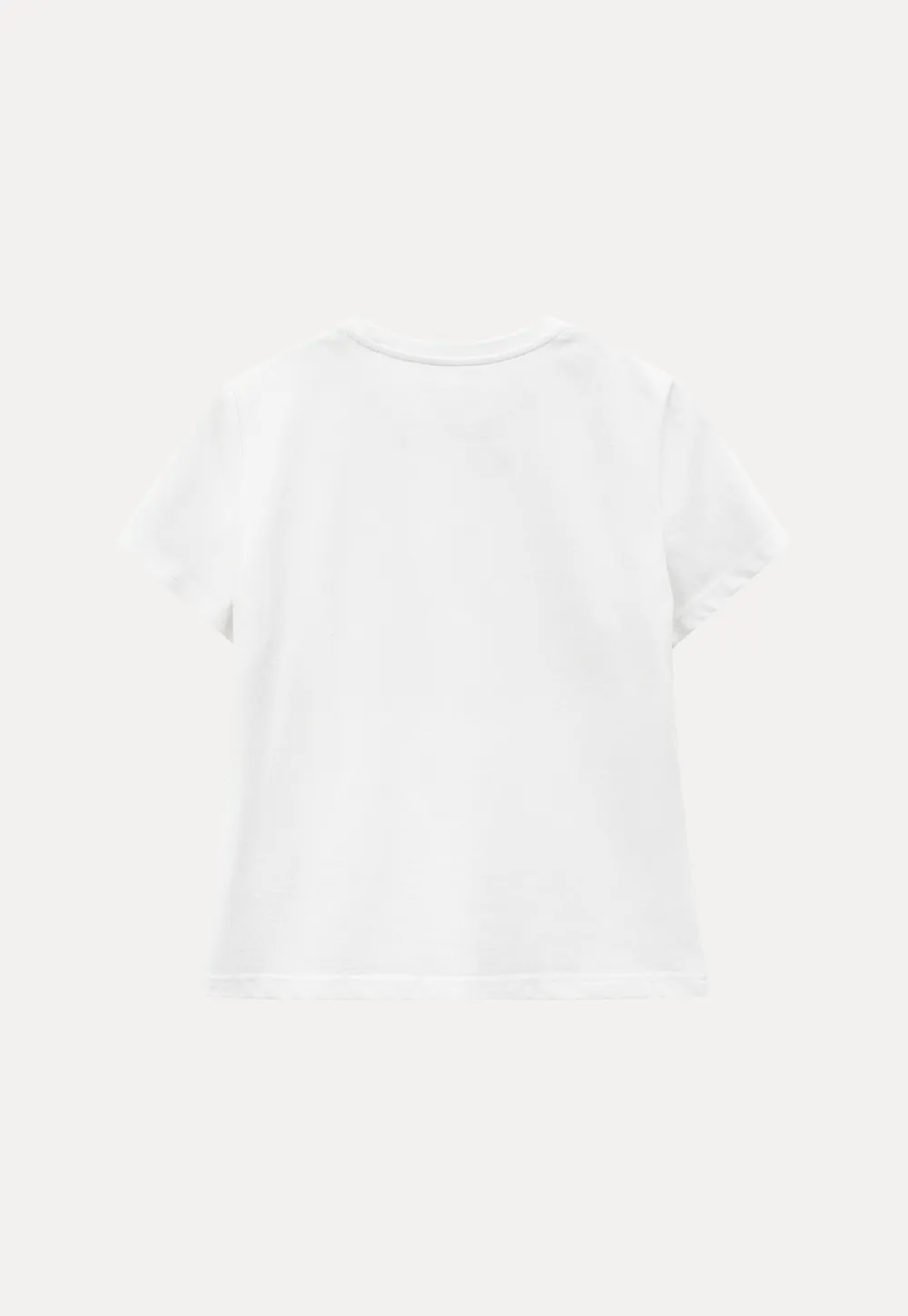 Embroidered Yoke Sheer Overlay T Shirt