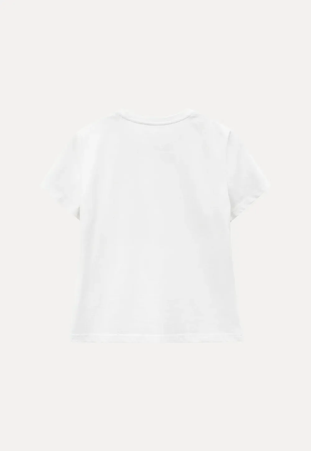 Embroidered Yoke Sheer Overlay T Shirt