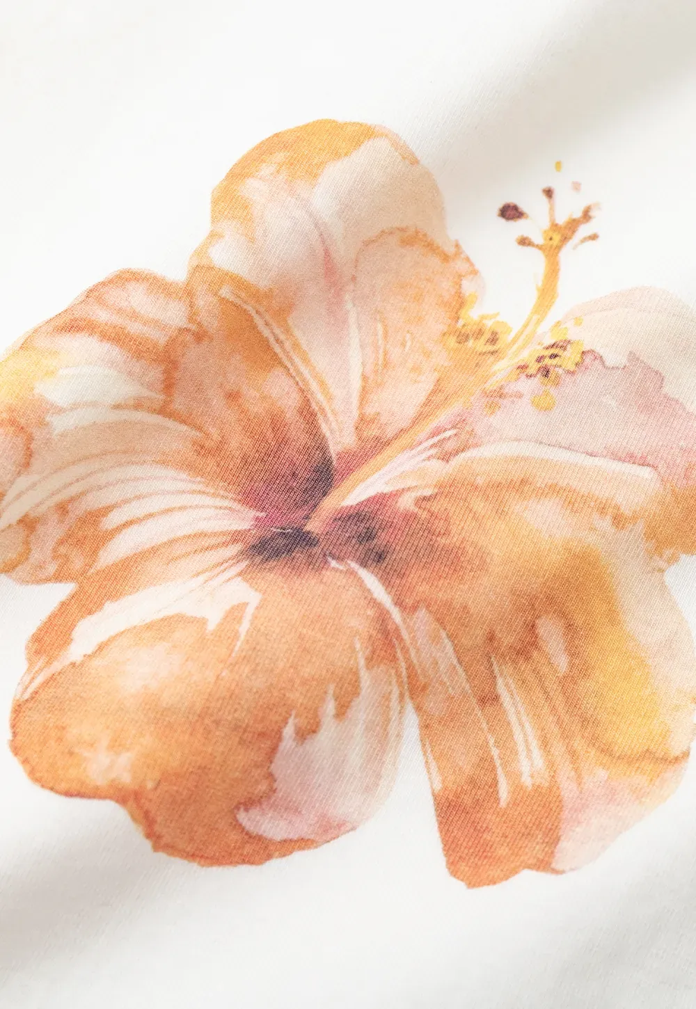 Floral Print Cropped T Shirt