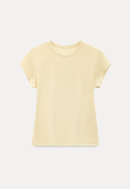 Round Neck Short Sleeve Fitted T Shirt