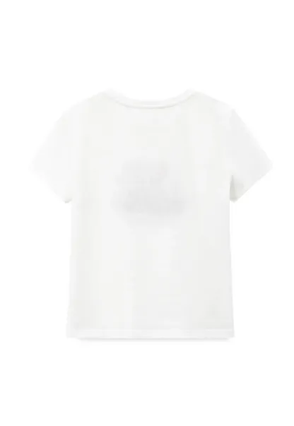 Cropped Graphic Print Tshirt