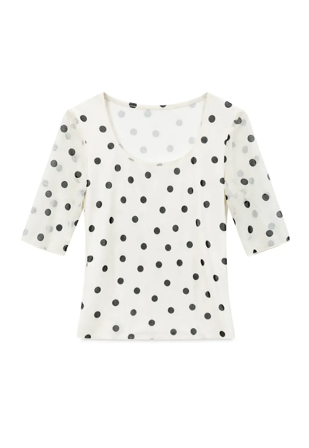 Polka Dot Sheer Sleeve Cropped T Shirt