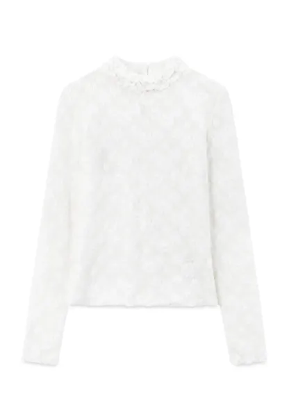 Lace Texture High Neck Long Sleeve Top