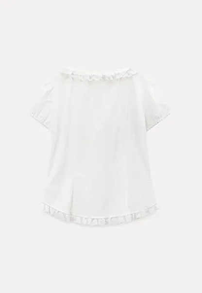 Ruffled Lace Trim Puff Sleeve Sheer Blouse