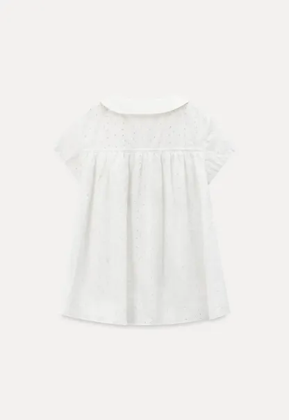 Eyelet Lace Peter Pan Collar Short Sleeve Shirt