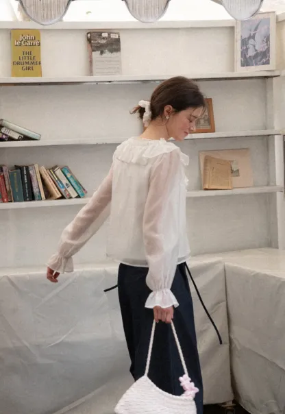 Ruffled V Neck Sheer Long Sleeve Blouse