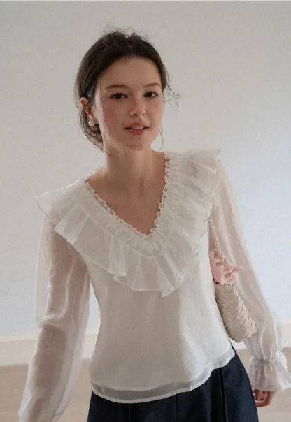 Ruffled V Neck Sheer Long Sleeve Blouse