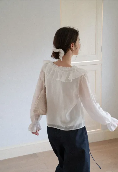 Ruffled V Neck Sheer Long Sleeve Blouse