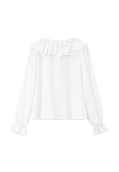 Ruffled V Neck Sheer Long Sleeve Blouse