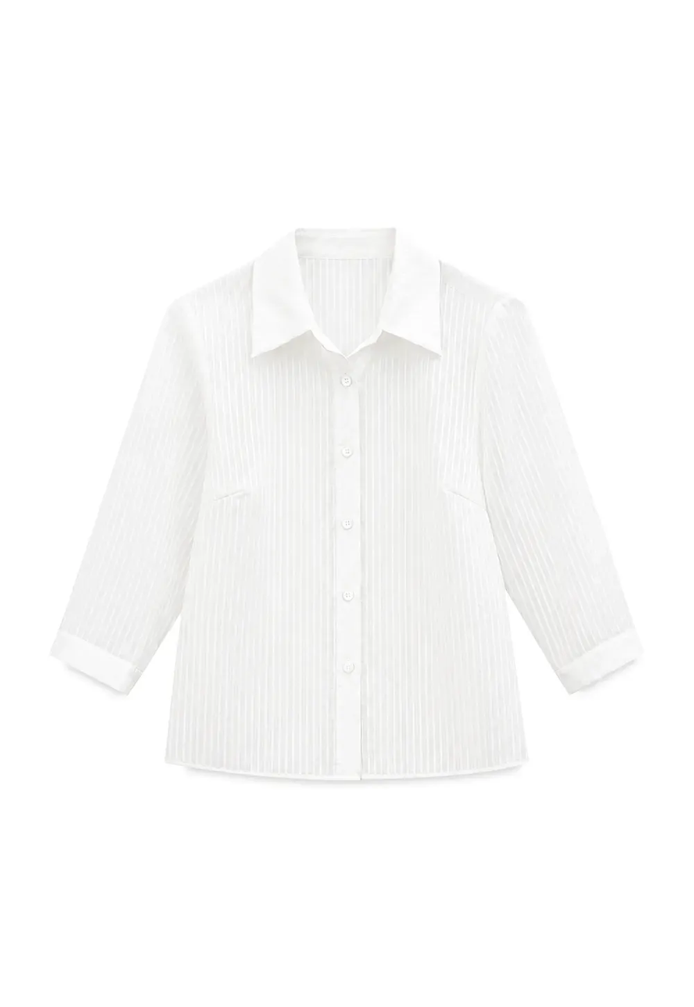 Sheer Textured Button Down Shirt