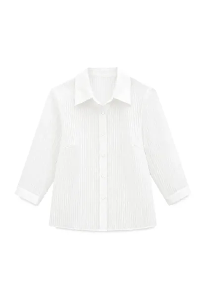 Sheer Textured Button Down Shirt