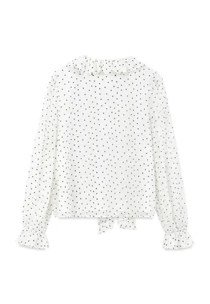 Polka Dot Sheer Blouse with Ruffled Collar and Tie Front
