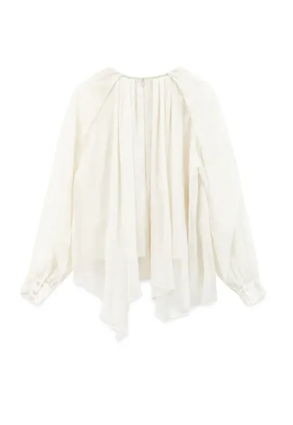Pleated Layered Sheer Blouse