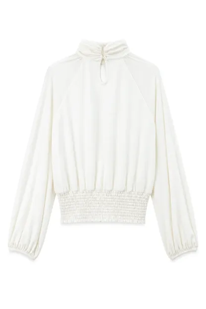 High Neck Pleated Blouse with Sheer Long Sleeves