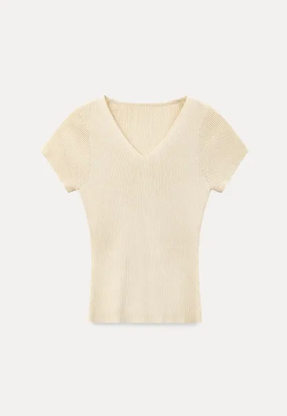 V Neck Short Sleeve Knit Sweater