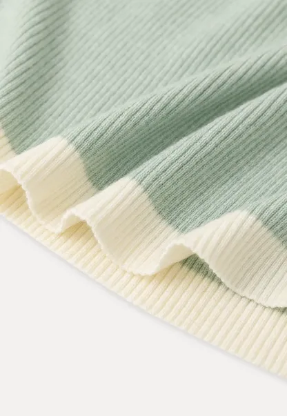 Contrast Trim Crew Neck Short Sleeve Knit Sweater