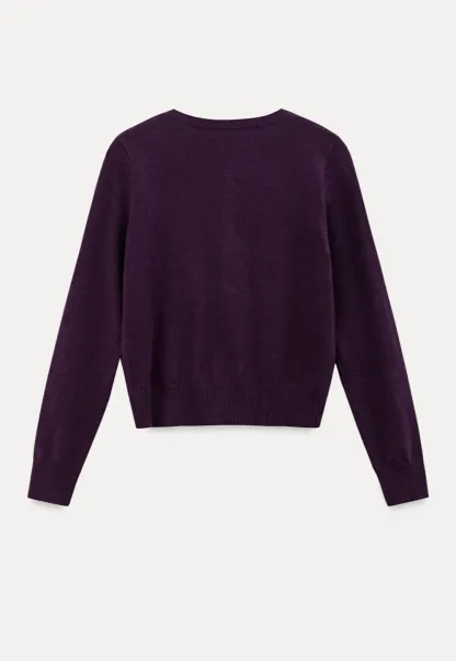 Cropped Cardigan with Collar Detail Woolen Knit Sweater