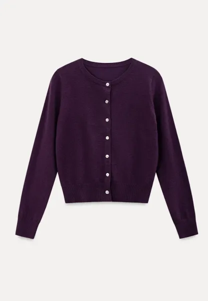 Cropped Cardigan with Collar Detail Woolen Knit Sweater