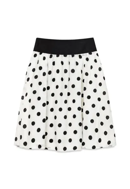 Polka Dot Print A Line Skirt