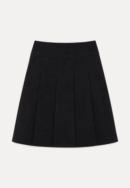 Pleated A-Line Skirt