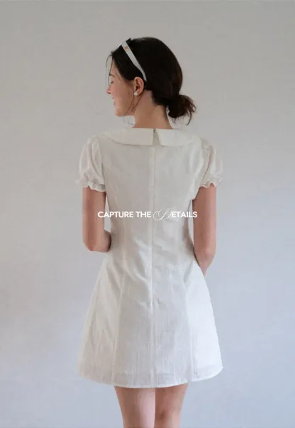 Peter Pan Collar Pleated Short Sleeve Dress