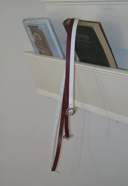 Dual Tone Leather Belt with Silver Buckle Design