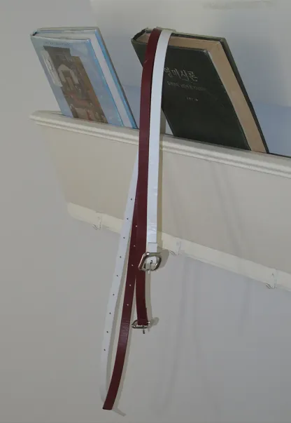 Dual Tone Leather Belt with Silver Buckle Design