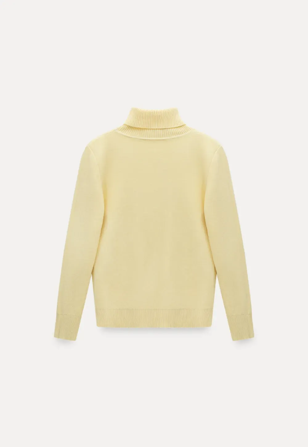 Soft Ribbed Turtleneck Sweater