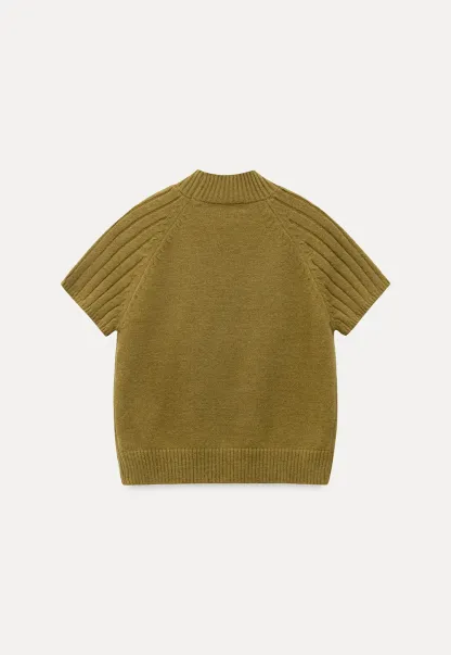 Olive Short Sleeve Mock Neck Knit Top