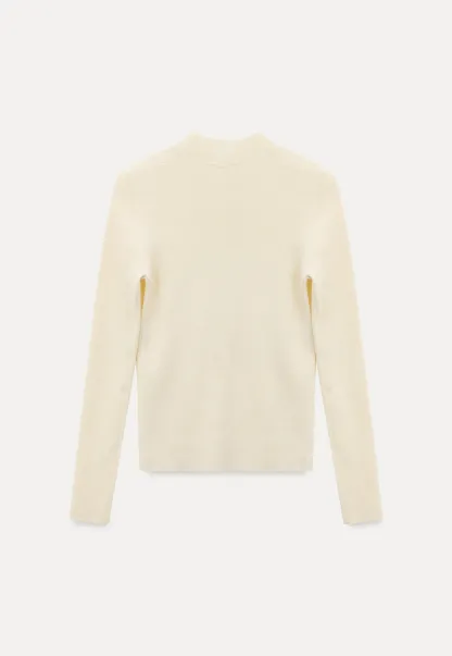 Women Basic Long Sleeve Turtleneck Sweater