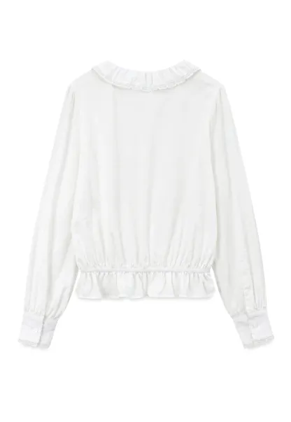 Ruffled Collar Tie Front Sheer Blouse