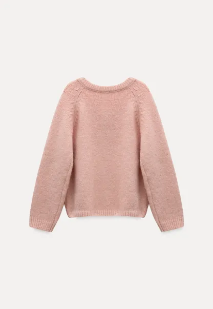 Women Soft Pink V-Neck Knit Sweater