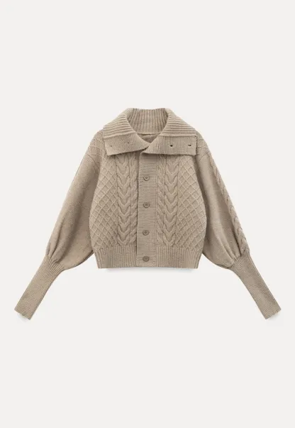 Chunky Knit Cardigan with Balloon Sleeves