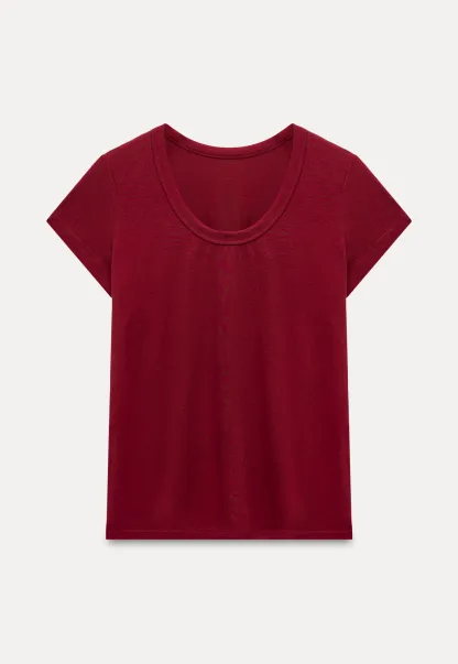 Women’s Basic Scoop Neck T-Shirt