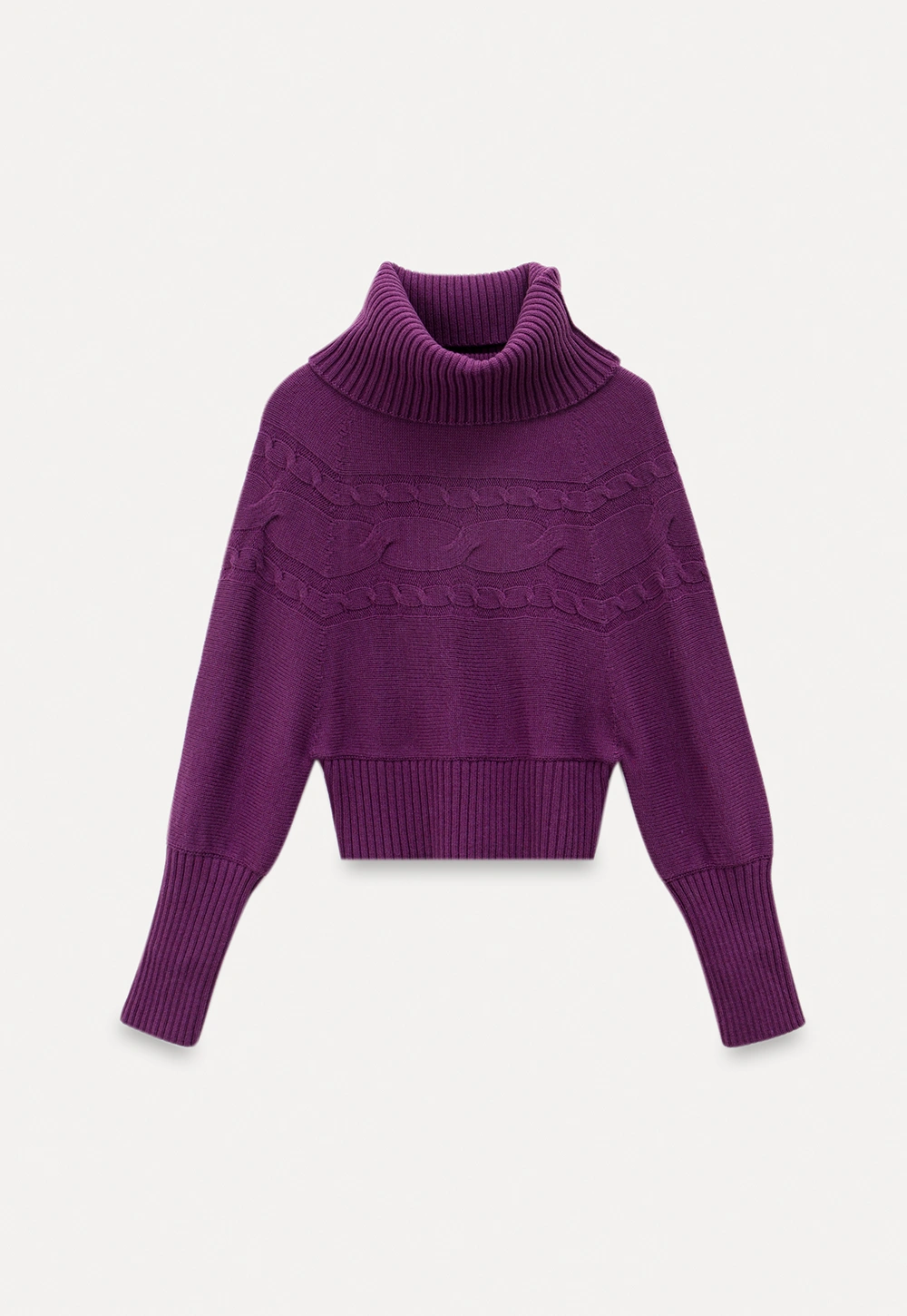 Women Ribbed Turtleneck Sweater