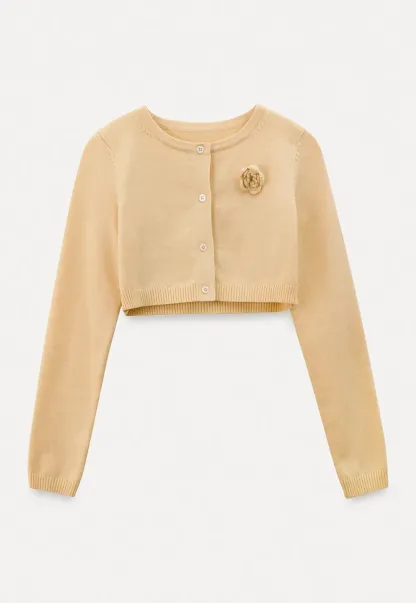 Elegant Knit Cardigan with Button Detail and Tank Top Set