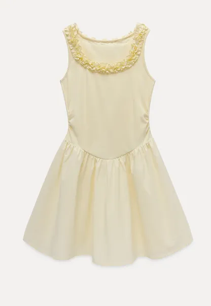 Women Ruffle Trim Sleeveless Fit & Flare Mini Dress