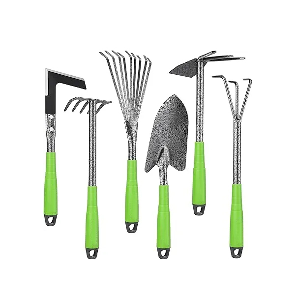 Outils de Jardinage 6 Pièces, Kit d'outils de Jardin en Acier Inoxydable avec Houe 2-en-1, Treulle, Râteaux, Couteau Désherbeur, Finition Martelée, pour Taille et Entretien, Cadeaux de Jardin