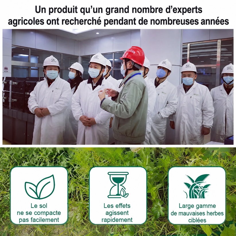 [Recommandé par les Experts Agricoles] Désherbant Puissant | Sans Glyphosate | Action en 3H | 5 Ans Sans Repousse 🌱💧
