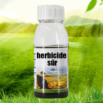 [Recommandé par les Experts Agricoles] Désherbant Puissant | Sans Glyphosate | Action en 3H | 5 Ans Sans Repousse 🌱💧