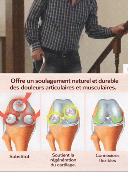 【Garantie de Reprise à 100%】Cerisier Nain XXL de 4 Ans | Récolte Dèsla 1ère Année | Idéal pour Maison et Jardin | Rustique jusqu'à -20°C | 1 Acheté = 1 OFFERT 🍒