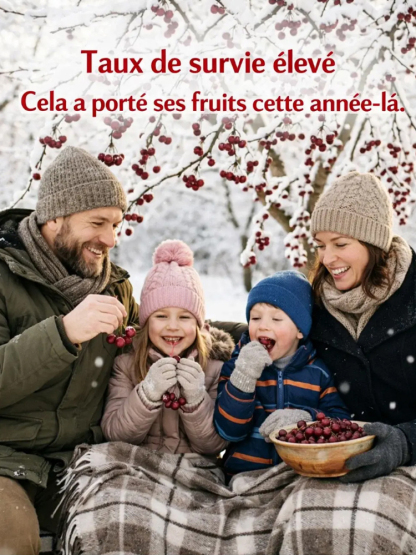 [Récolte Garantie ou Remboursé] Cerisier Doux Regina XXL | Plant Robuste de 2 Ans | Récolte la Première Année | Idéal Balcon ou Jardin | Résiste à -20°C 🍒🌳