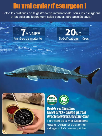 🐟【Potulent et juteux】Caviar d'esturgeon noir de la mer Caspienne importé, riche en DHA, au goût léger et délicat.🌊✨