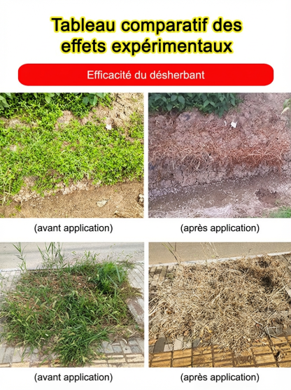 【Action Rapide 3h】Désherbant Ultra Concentré Formule Allemande |  Éradication Totale des Racines 🌿