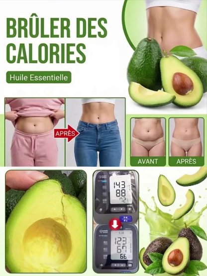 [fruit la première année]Avocatier Bio Géant de Munich | Récolte Dès la Première Année 🥑✨