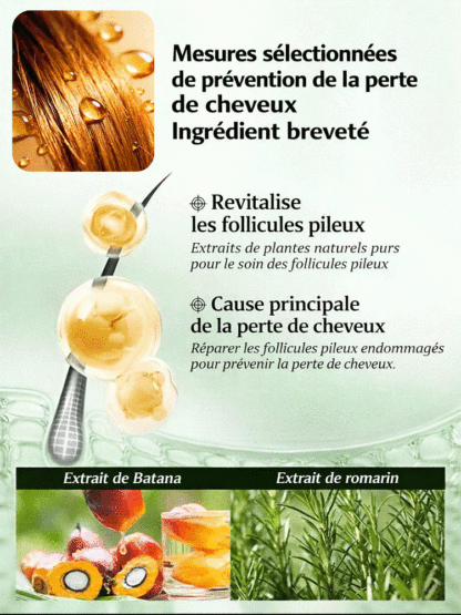 【Top Vente en Pharmacie】Shampooing Repousse Capillaire Huile de Batana 🌿 | Formule Romarin Concentrée 10x | Activateur de Follicules | Recommandé par Dermatologues 🧴