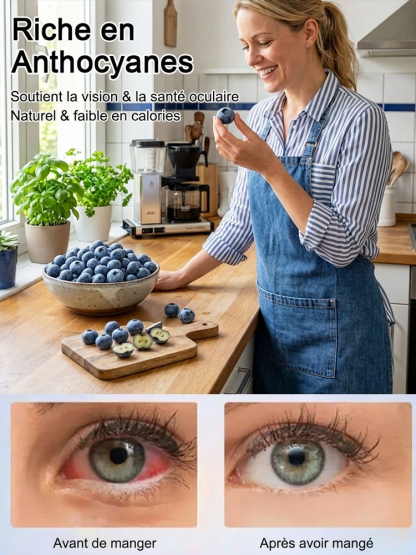 Pas de Fruits,100% Remboursé | Myrtillier Bio 🫐 | Plant 2 Ans en Motte |Récolte Dès Juin | Facile et Rustique | Rendement 10kg | Soin des Yeux🌿