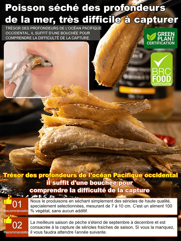 【Moitié Prix Aujourd'hui】Chips de Thon Sauvage | Zéro Huile | Truffe Noire | Riche en Oméga-3 🐟