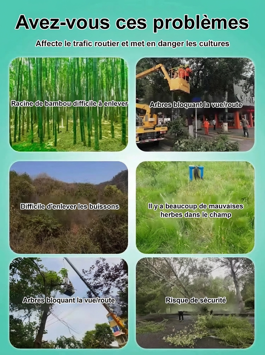 【Action Rapide 3h】Désherbant Ultra Concentré Formule Allemande |  Éradication Totale des Racines 🌿